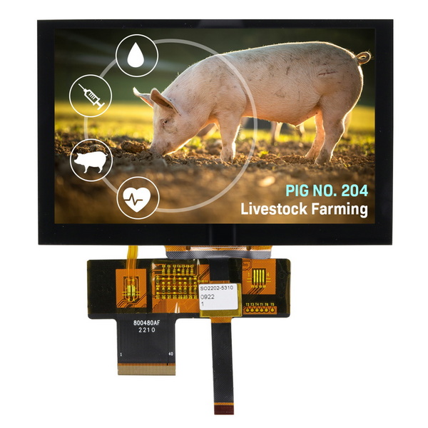 LCD 5 IPS Capacitive TFT display
