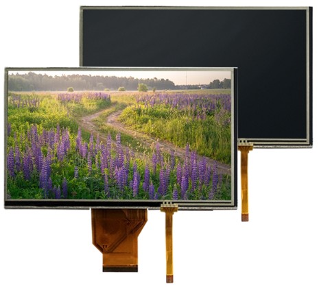 Display Module Manufacturers