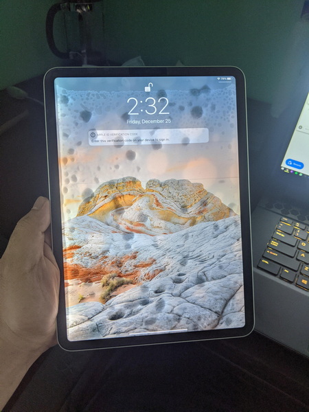 Ipad Mini 4 Screen Flickering After Water
