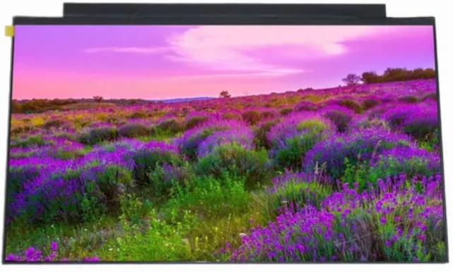 Top 10 Industrial TFT Display Manufacturers in China