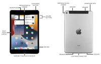 //iqrorwxhmnmnlp5m.ldycdn.com/cloud/lnBpjKjjllSRrlknoiqljo/Apple-iPadMini-Desktop.jpg