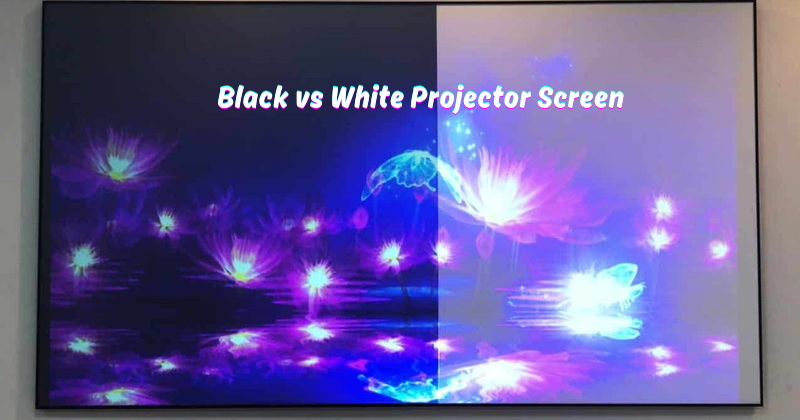 ¿Cómo funciona una pantalla LCD en blanco y negro?
