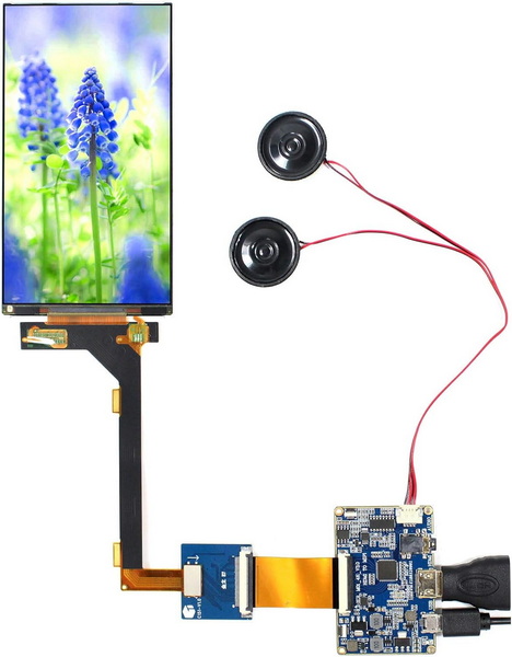 Specifica dello schermo LCD da 5,5 pollici