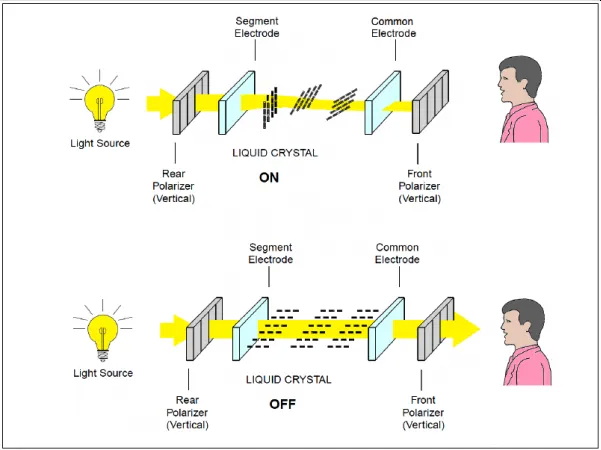 Operating Principle of LCD